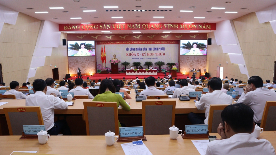 Dự thảo về quy định mới  liên quan đến cấm nuôi chim yến trong khu dân cư ở Bình Phước
