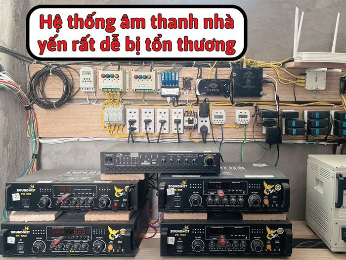 Quy Trình Bảo Trì - Chăm Sóc Nhà Yến