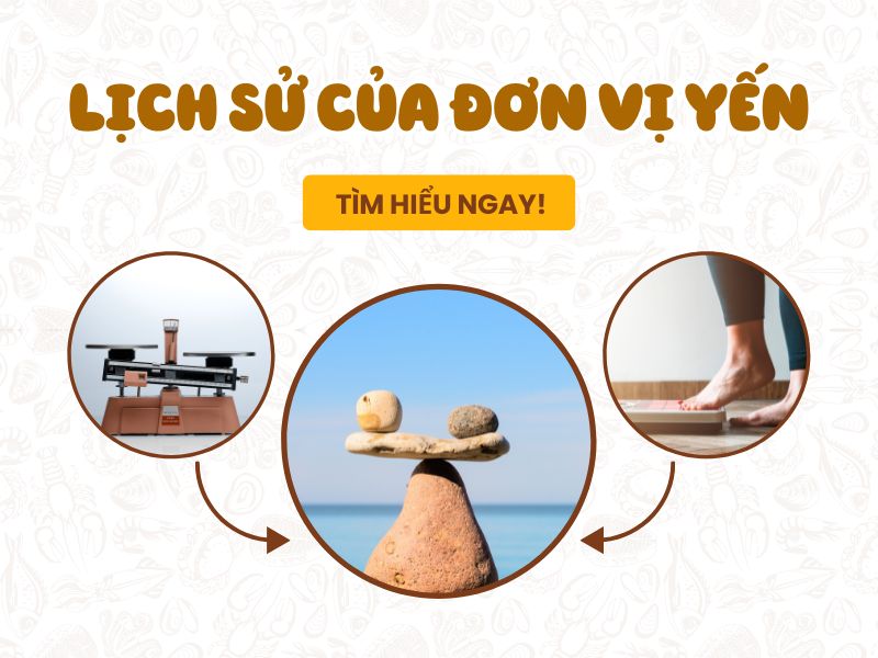 Lịch Sử Của Đơn Vị Yến