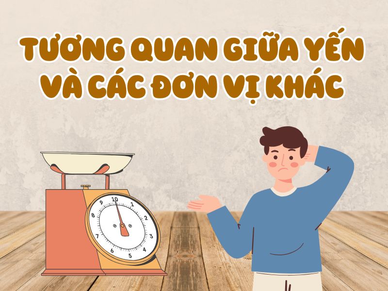 Tương Quan Giữa Yến Và Các Đơn Vị Khác