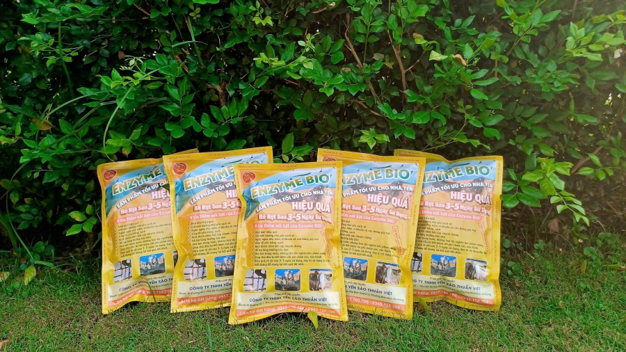 Men vi sinh Enzyme BiO- chuyên dung cho nhà yến