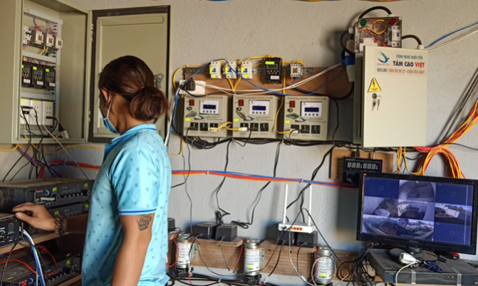 Cách chăm sóc nhà yến