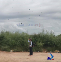 Báo giá Chi phí khảo sát nuôi yến?