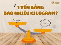 1 Yến Bằng Bao Nhiêu Kg? Những Thông Tin Thú Vị Về Đơn Vị Đo Lường  Này!